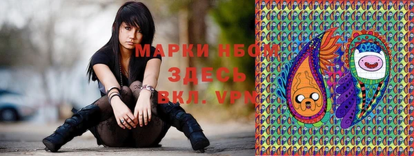 СК Алексин