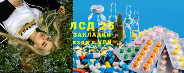 СК Алексин