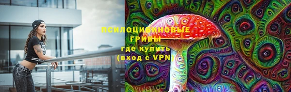 амфетамин Алексеевка
