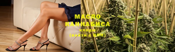 СК Алексин
