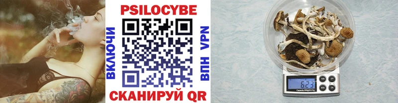 цены наркотик  Краснотурьинск  MEGA tor  Псилоцибиновые грибы Magic Shrooms 
