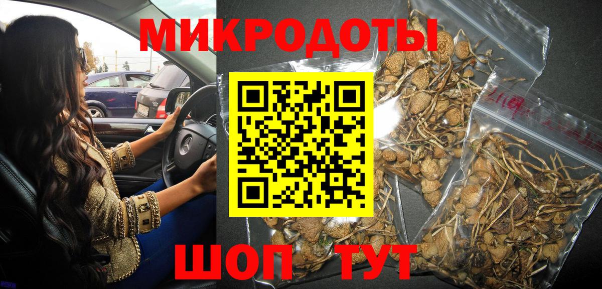 Псилоцибиновые грибы Psilocybine cubensis Краснотурьинск