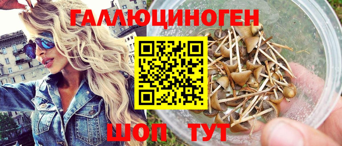 Краснотурьинск  Псилоцибиновые грибы Psilocybine cubensis  Вход с VPN 